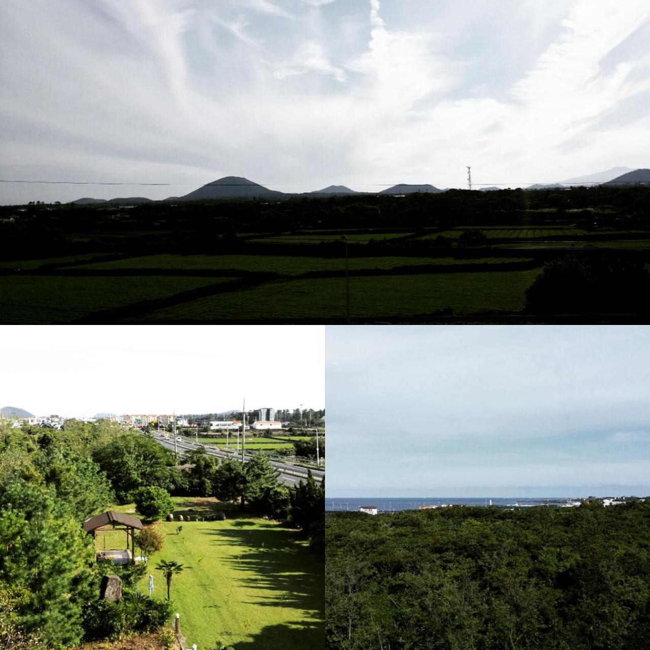 Jun House Vandrarhem Jeju Exteriör bild